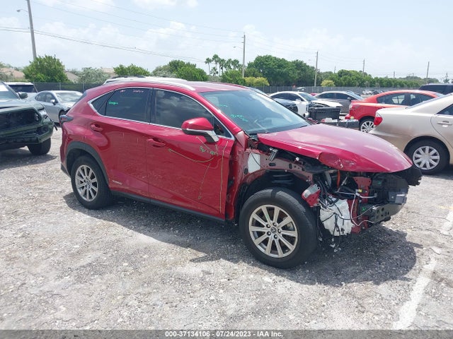 2020 Lexus NX, VIN: JTJDJRDZ9L5003589