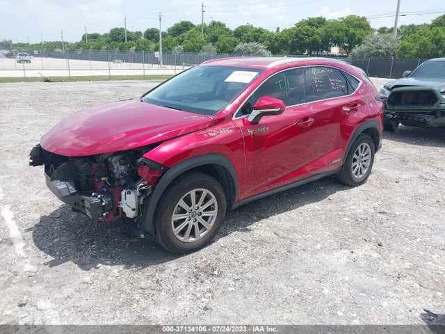2020 Lexus NX, VIN: JTJDJRDZ9L5003589