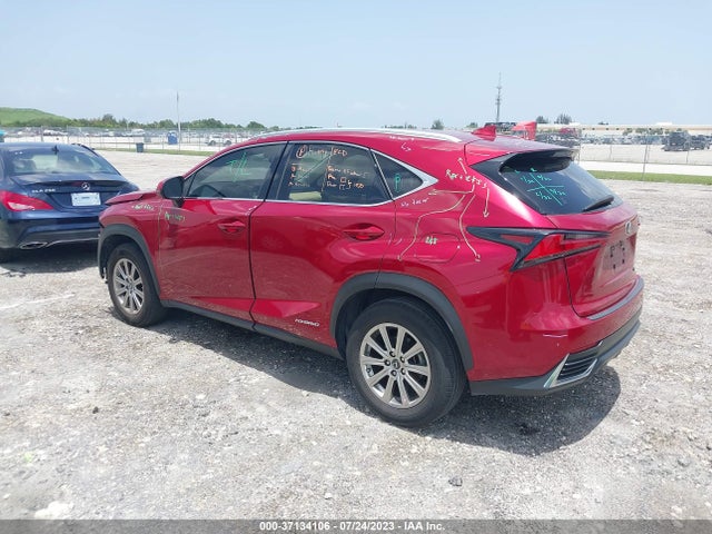 2020 Lexus NX, VIN: JTJDJRDZ9L5003589