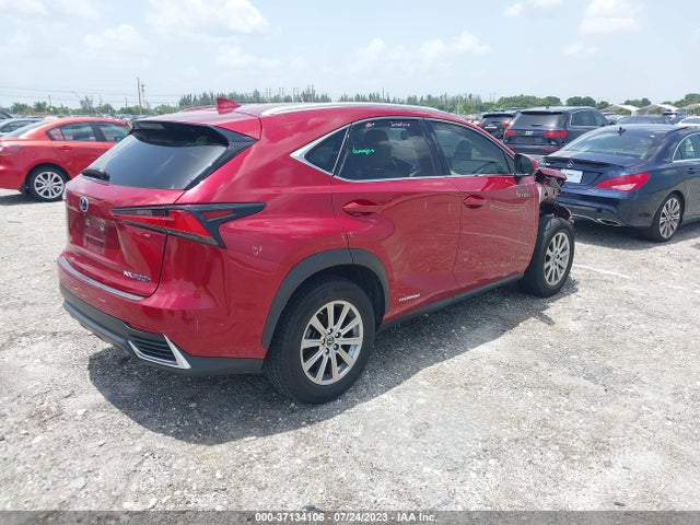 2020 Lexus NX, VIN: JTJDJRDZ9L5003589
