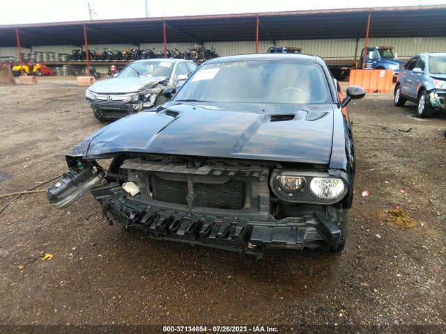 2013 DODGE CHALLENGER SXT VIN: 2C3CDYAG1DH652336