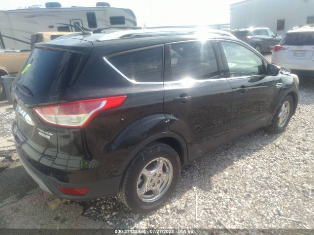 1FMCU0JX2FUB45566 Ford Escape Titanium
