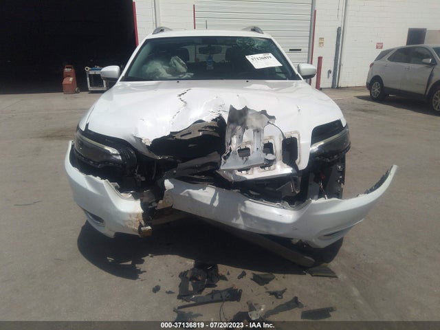 2019 JEEP CHEROKEE LIMITED VIN: 1C4PJLDB6KD183781