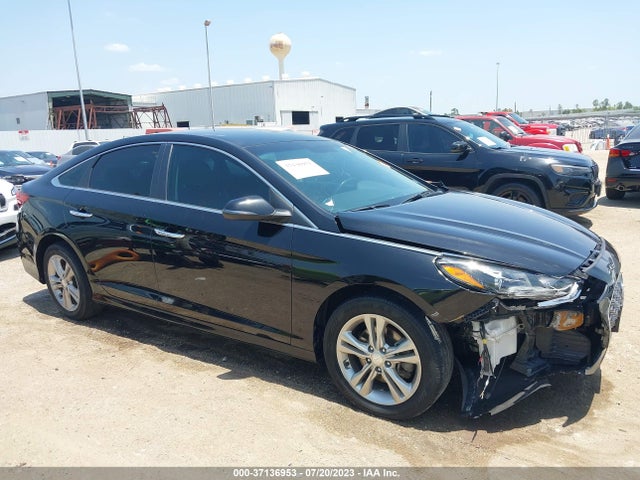 Hyundai SONATA SEL 2019 5NPE34AF9KH752681 Image 12