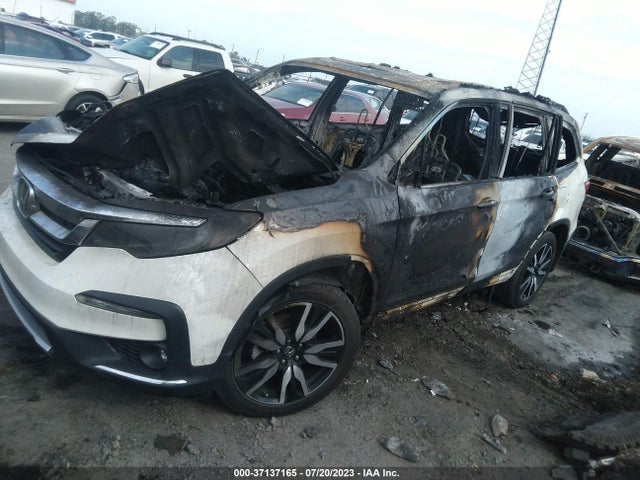 Honda Pilot Elite 2019 5FNYF6H07KB012241 Image 2