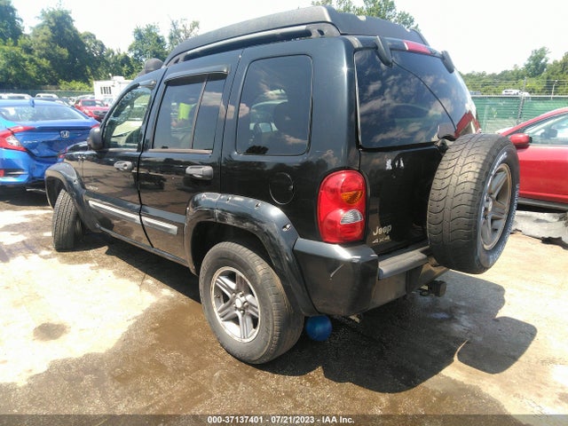 2004 JEEP LIBERTY RENEGADE VIN: 1J8GL38K24W186830