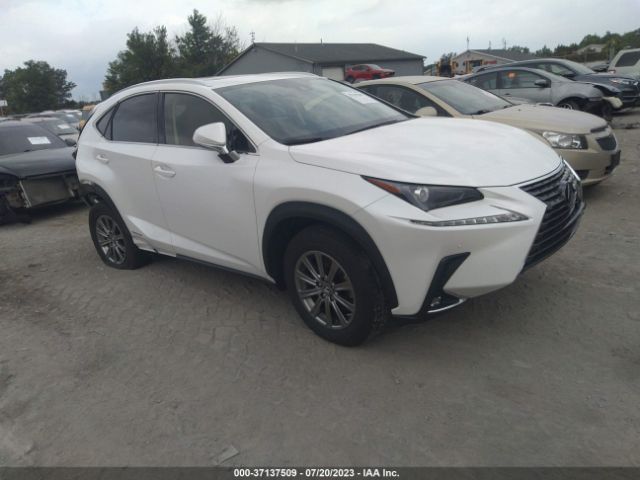 2021 LEXUS NX JTJDJRDZ7M5010350
