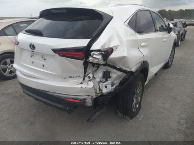 2021 LEXUS NX JTJDJRDZ7M5010350 Photo 5