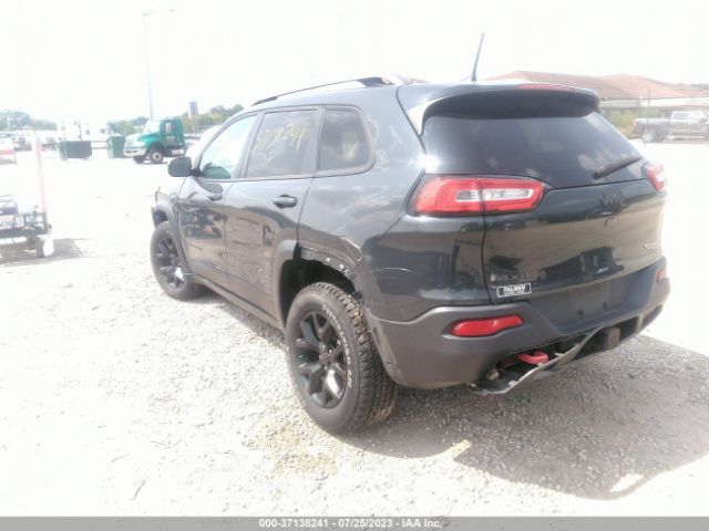 1C4PJMBSXGW232999 Jeep Cherokee Trailhawk