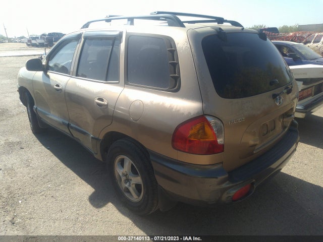 2003 HYUNDAI SANTA FE GLS/LX VIN: KM8SC13D63U380362