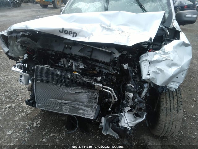 2021 JEEP RENEGADE LIMITED VIN: ZACNJDD15MPM98691