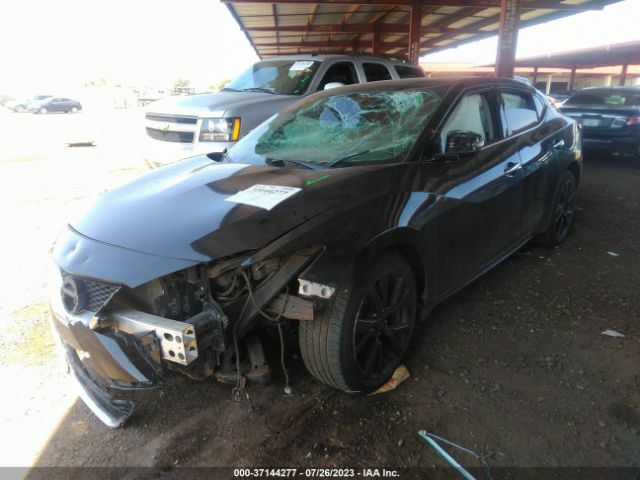 1N4AA6AP3HC405804 Nissan MAXIMA SV