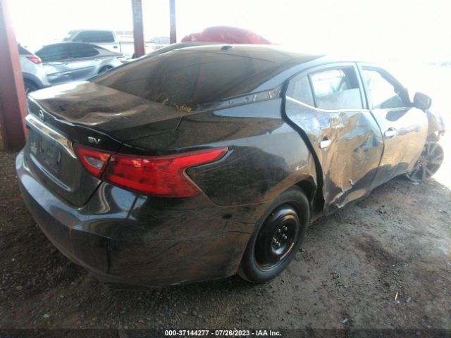 1N4AA6AP3HC405804 Nissan MAXIMA SV