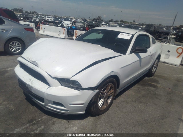 1ZVBP8AM8E5201477 Ford Mustang V6