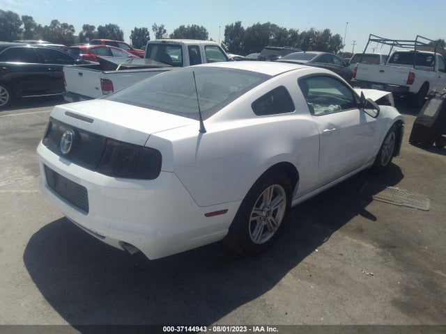 1ZVBP8AM8E5201477 Ford Mustang V6