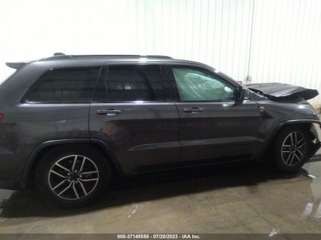 2019 JEEP GRAND CHEROKEE TRAILHAWK VIN: 1C4RJFLG4KC693950