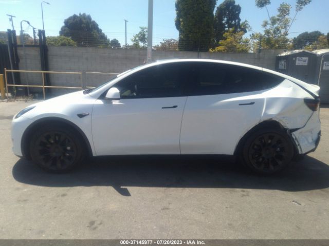 5YJYGDEE3MF271197 Tesla Model Y Long Range