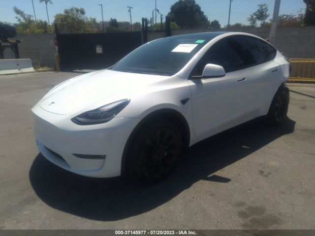 5YJYGDEE3MF271197 Tesla Model Y Long Range