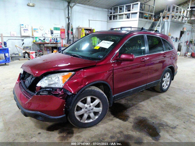 2009 HONDA CR-V EX-L VIN: 5J6RE48719L032348