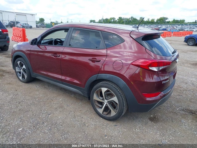 Hyundai Tucson Sport 2016 KM8J33A22GU201569 Image 3