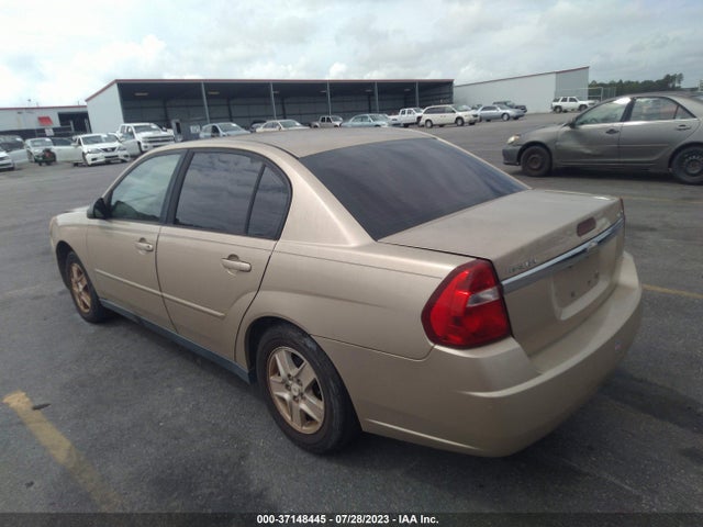 2005 CHEVROLET MALIBU LS VIN: 1G1ZT54855F179922