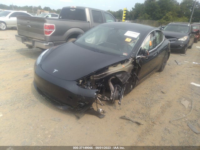 Tesla Model 3 Range 2019 5YJ3E1EA6KF394775 Image 2