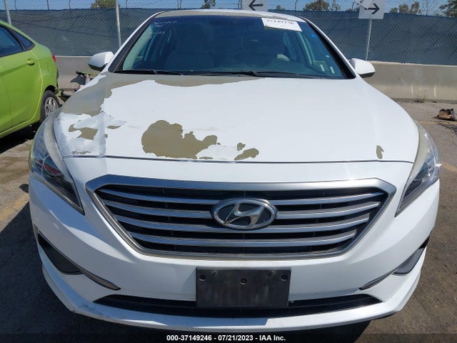 Hyundai Sonata 2.4l Se 2016 5NPE24AF8GH381409 Image 4