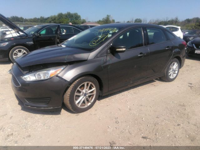1FADP3F20FL292656 Ford FOCUS SE