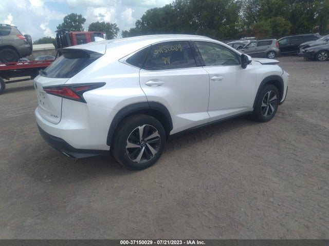 2021 LEXUS NX NX 300 VIN: JTJGARDZ8M5026036