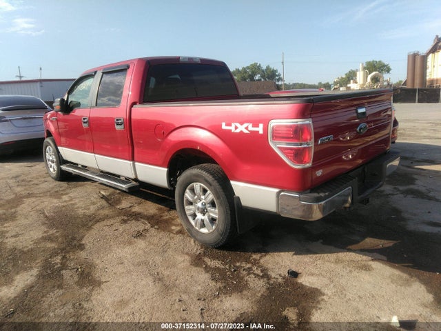 2009 FORD F-150 XL/XLT/FX4/LARIAT VIN: 1FTPW14V39KC69118