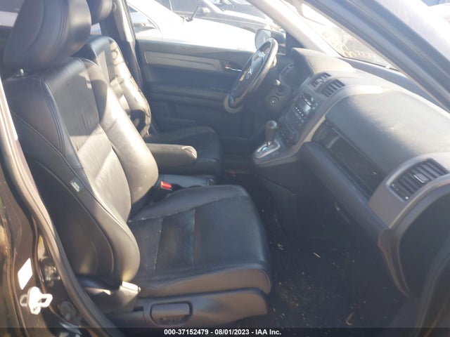 2007 HONDA CR-V EX-L VIN: JHLRE38747C015933