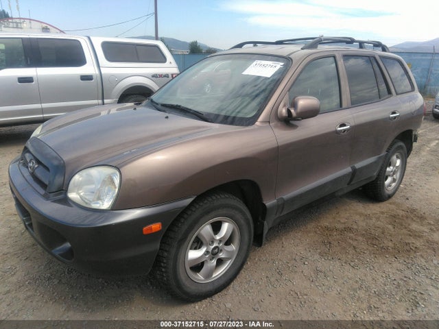 2005 HYUNDAI SANTA FE GLS/LX VIN: KM8SC73E25U989107