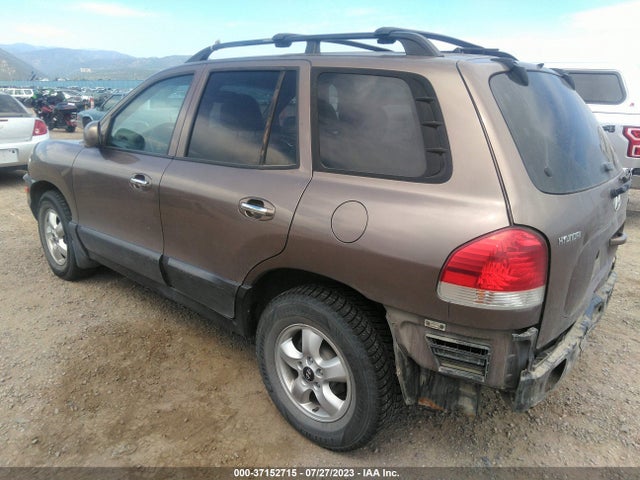 2005 HYUNDAI SANTA FE GLS/LX VIN: KM8SC73E25U989107