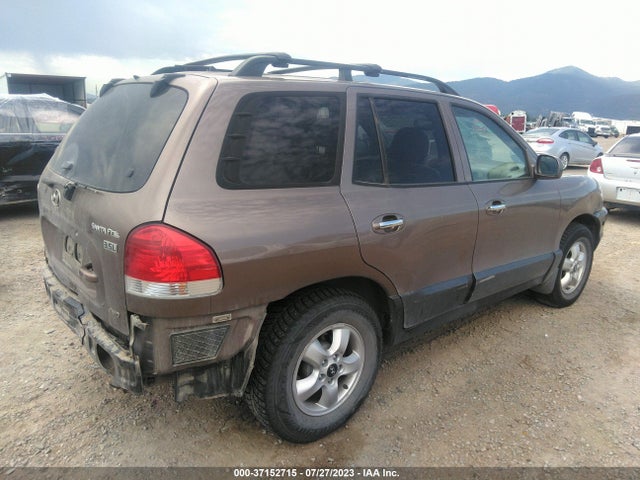 2005 HYUNDAI SANTA FE GLS/LX VIN: KM8SC73E25U989107
