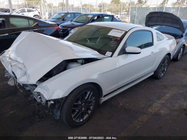 1ZVBP8AM7E5299479 Ford Mustang V6