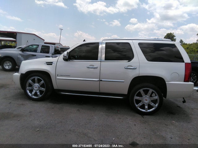 2009 CADILLAC ESCALADE VIN: 1GYFC23219R103795