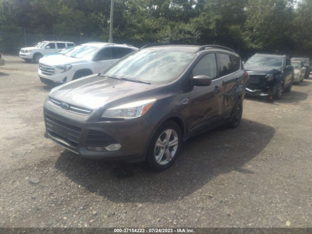 1FMCU9GX9FUB23785 Ford ESCAPE SE