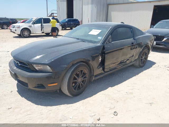 2011 FORD MUSTANG V6 VIN: 1ZVBP8AM2B5103962