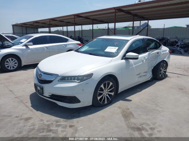 19UUB1F59FA005061 Acura TLX TECH