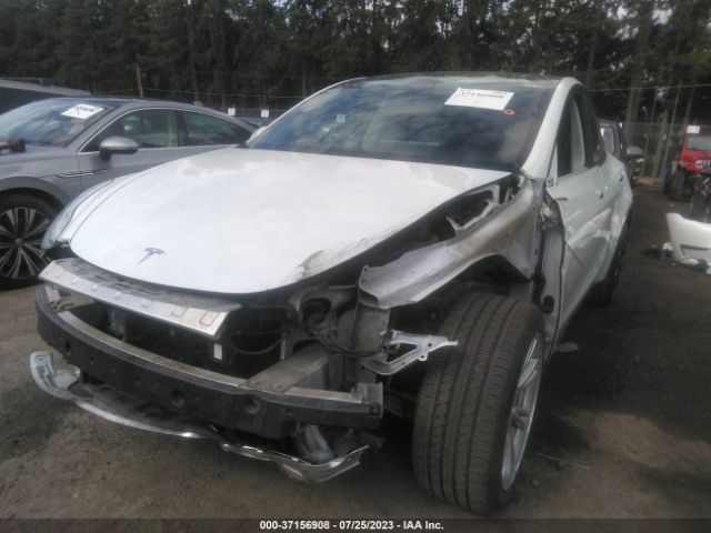 5YJYGDEEXLF015461 Tesla Model Y Long Range