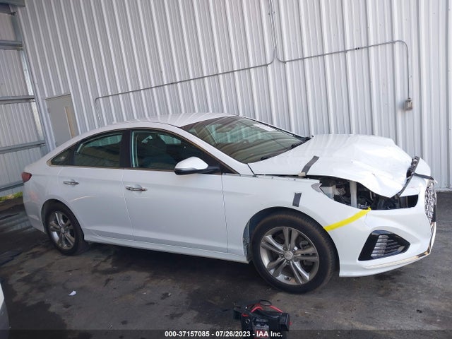 Hyundai SONATA SEL 2019 5NPE34AF0KH778845 Image 5