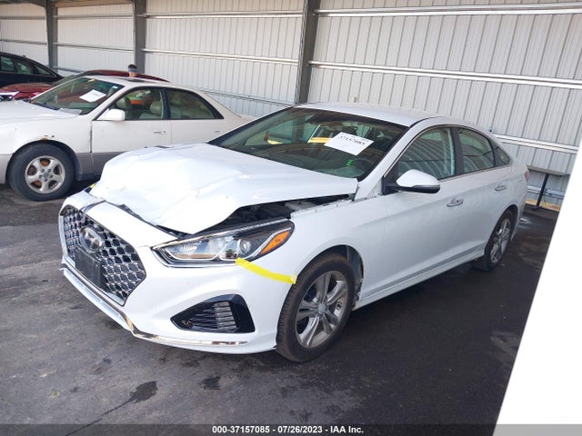 Hyundai SONATA SEL 2019 5NPE34AF0KH778845 Image 6
