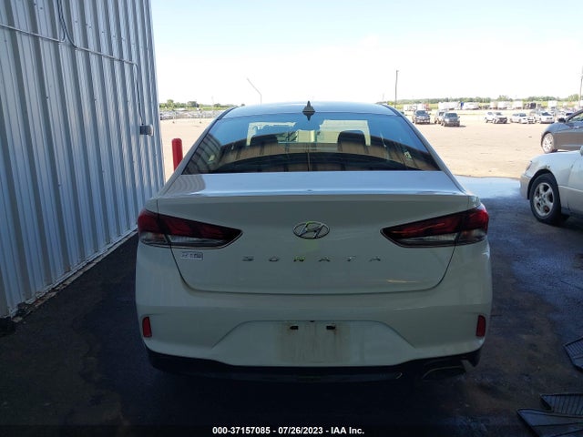 Hyundai SONATA SEL 2019 5NPE34AF0KH778845 Image 8