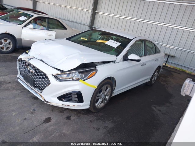 Hyundai SONATA SEL 2019 5NPE34AF0KH778845 Image 2