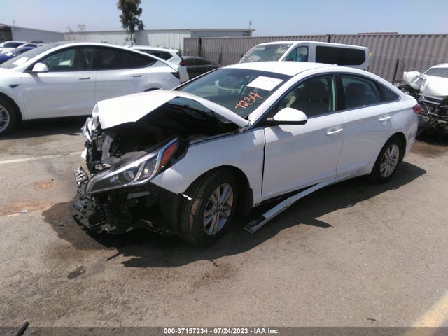 Hyundai SONATA SE 2017 5NPE24AF0HH594338 Image 2