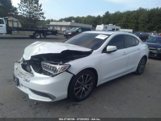 19UUB3F39KA007266 Acura TLX