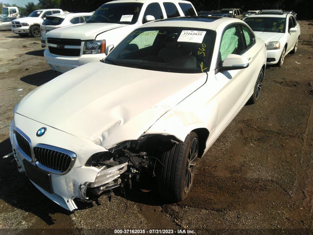 2020 BMW 2 Series, VIN: WBA2J3C0XL7E67912