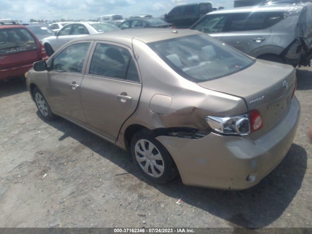 2010 TOYOTA COROLLA VIN: 2T1BU4EE8AC428995