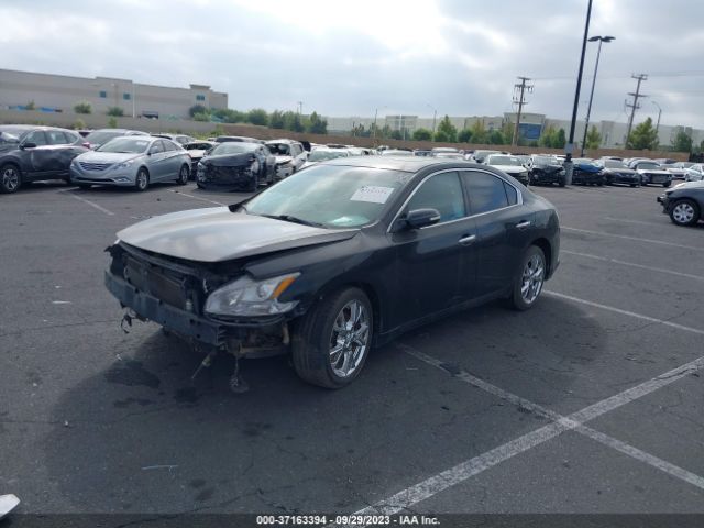 1N4AA5AP0EC443206 Nissan Maxima 3.5 Sv