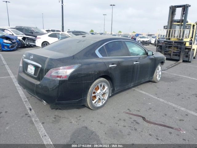 1N4AA5AP0EC443206 Nissan Maxima 3.5 Sv